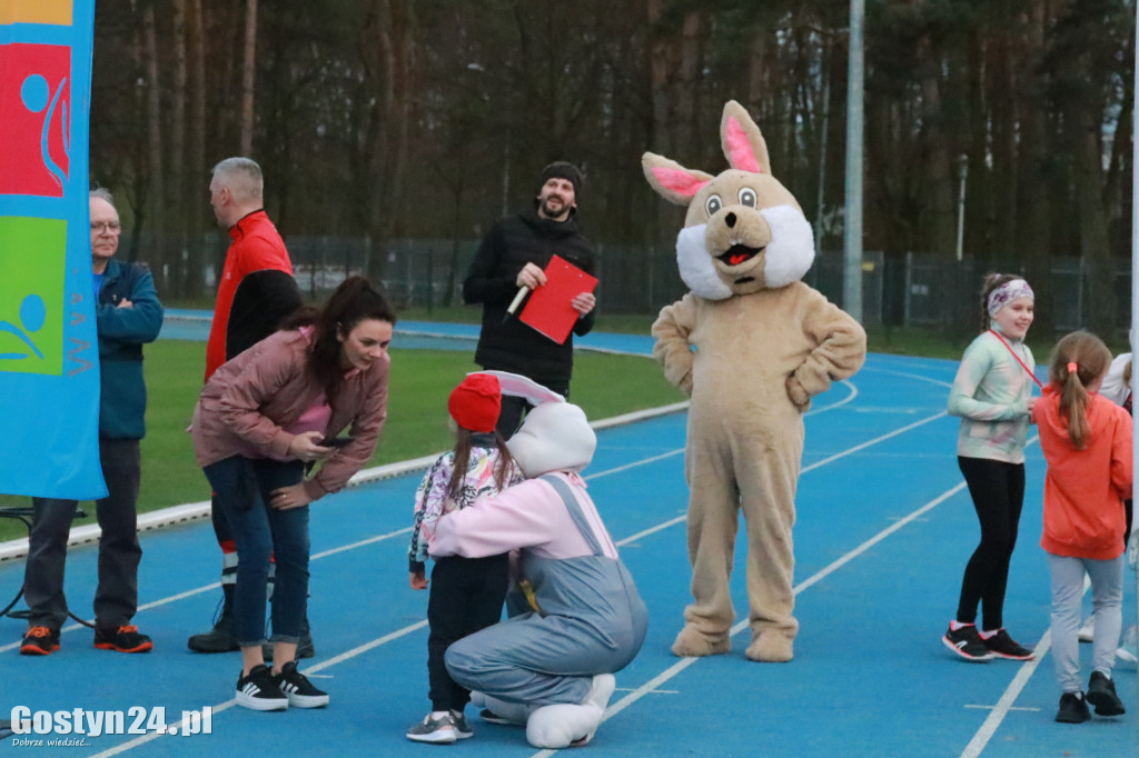 II Bieg Zająca na gostyńskim stadionie