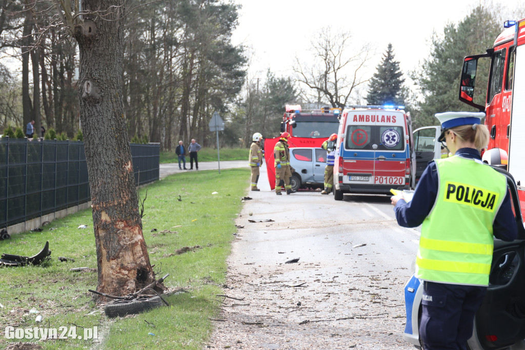 Śmiertelny wypadek w Śmiłowie, gmina Poniec