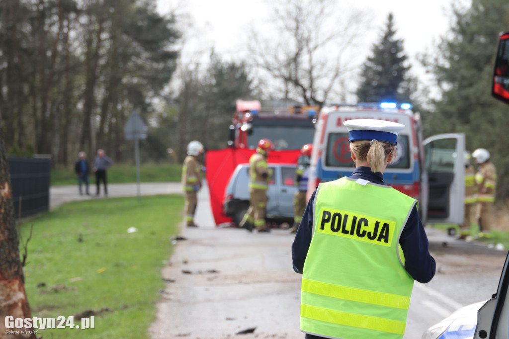 Śmiertelny wypadek w Śmiłowie, gmina Poniec