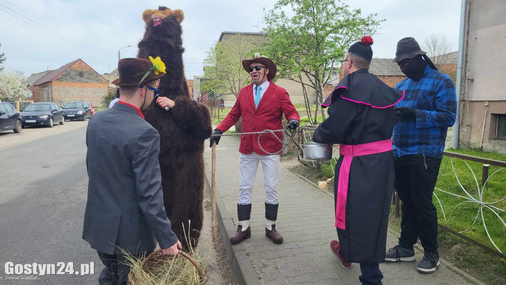 Kominiarze przeszli przez Zalesie w gminie Borek Wlkp.