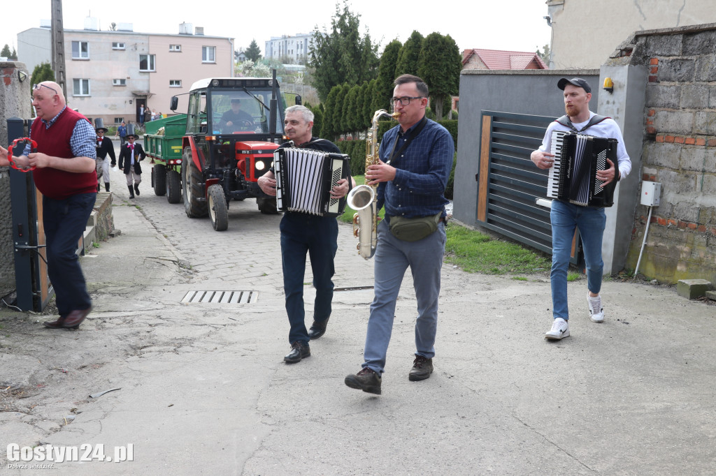 Kominiarze przeszli przez Zalesie w gminie Borek Wlkp.