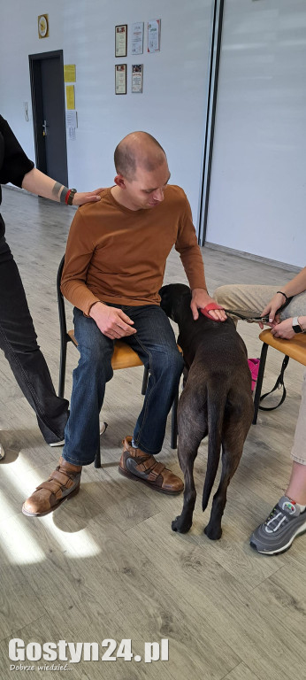 Dogoterapia z udziałem Samby w ŚDS Gostyń