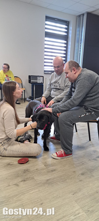 Dogoterapia z udziałem Samby w ŚDS Gostyń
