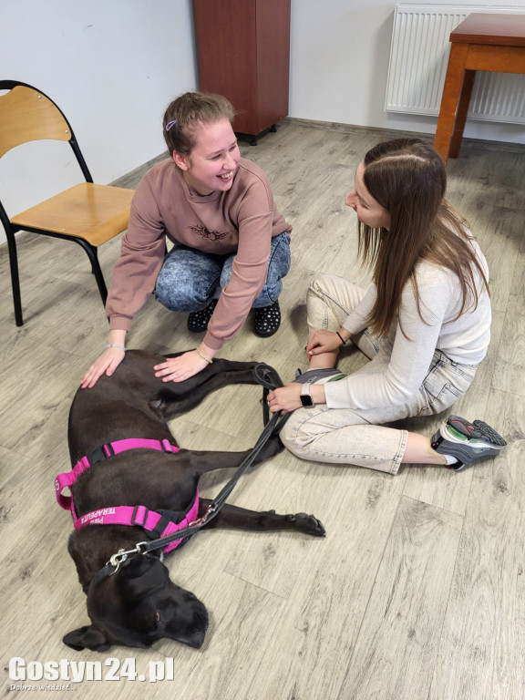 Dogoterapia z udziałem Samby w ŚDS Gostyń