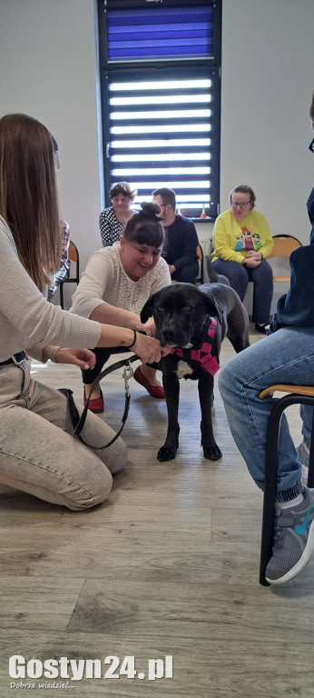 Dogoterapia z udziałem Samby w ŚDS Gostyń