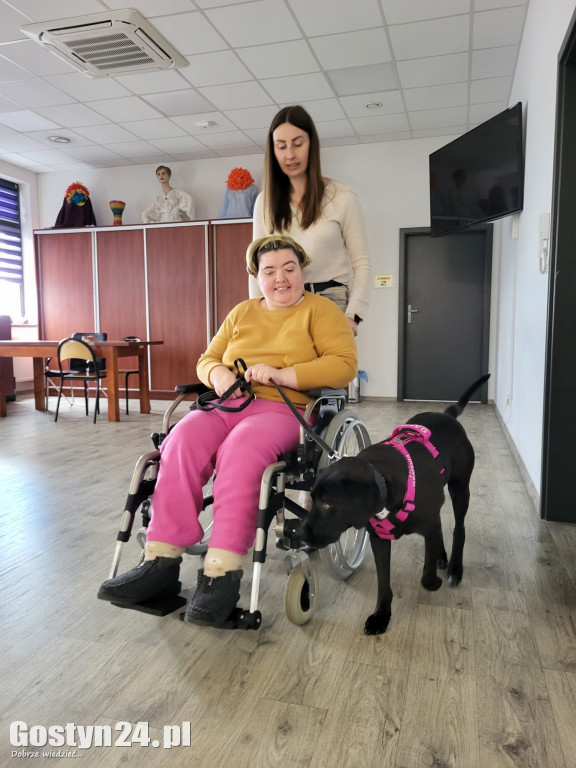 Dogoterapia z udziałem Samby w ŚDS Gostyń