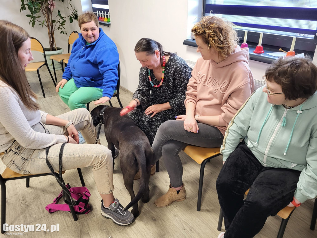 Dogoterapia z udziałem Samby w ŚDS Gostyń