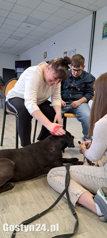 Dogoterapia z udziałem Samby w ŚDS Gostyń