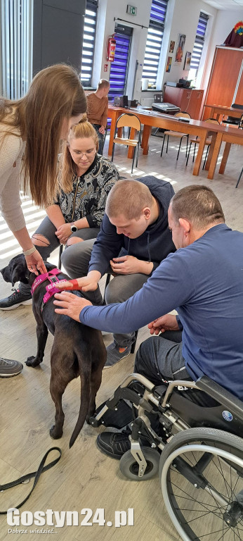 Dogoterapia z udziałem Samby w ŚDS Gostyń