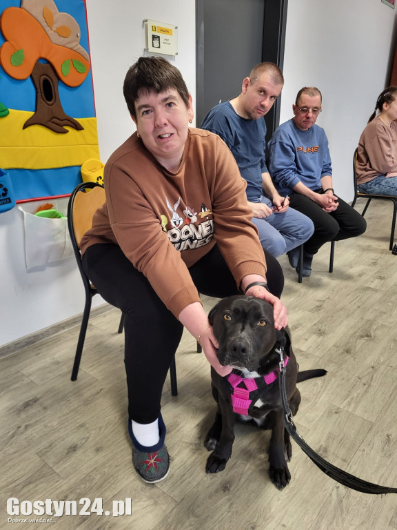 Dogoterapia z udziałem Samby w ŚDS Gostyń