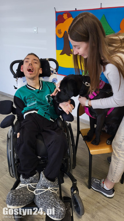 Dogoterapia z udziałem Samby w ŚDS Gostyń