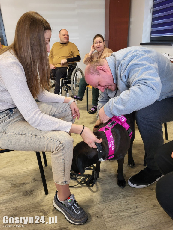 Dogoterapia z udziałem Samby w ŚDS Gostyń