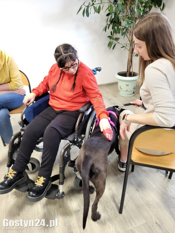 Dogoterapia z udziałem Samby w ŚDS Gostyń
