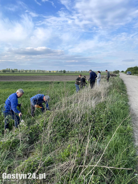Sadzenie drzewek przez łowczych w gminie Krobia