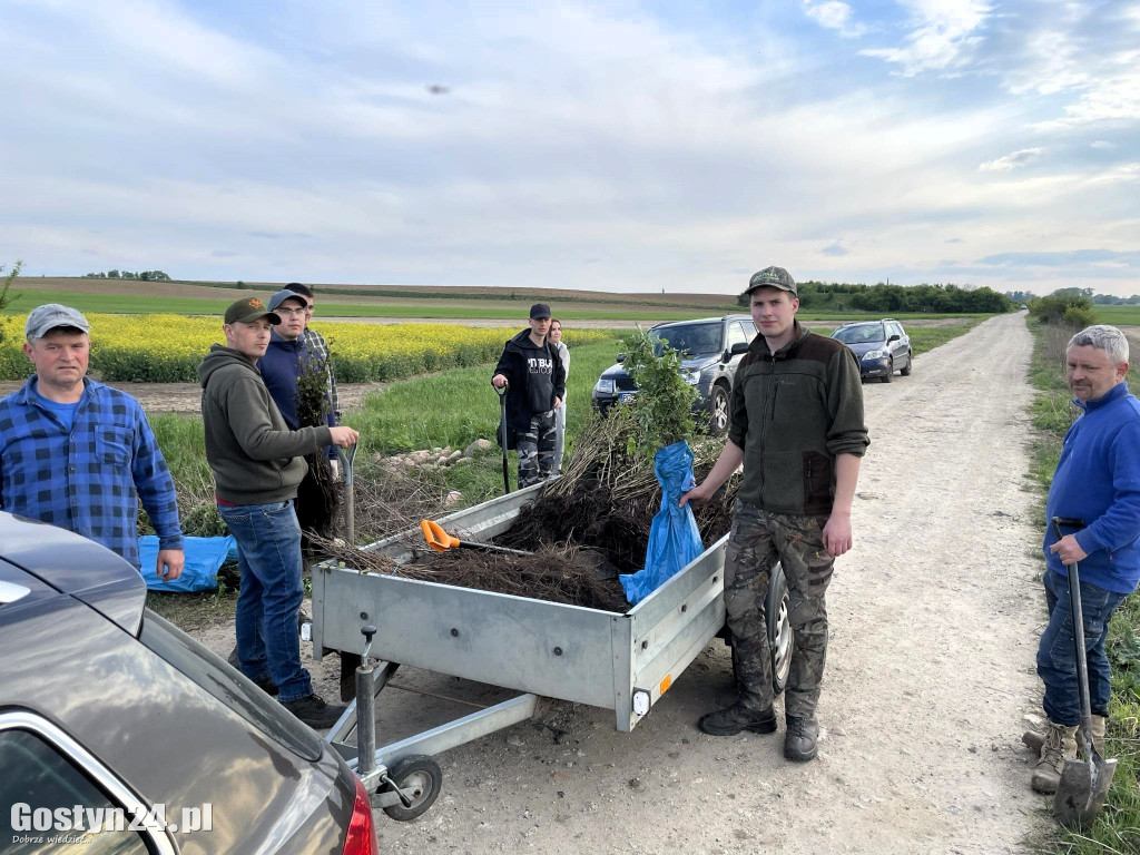 Sadzenie drzewek przez łowczych w gminie Krobia