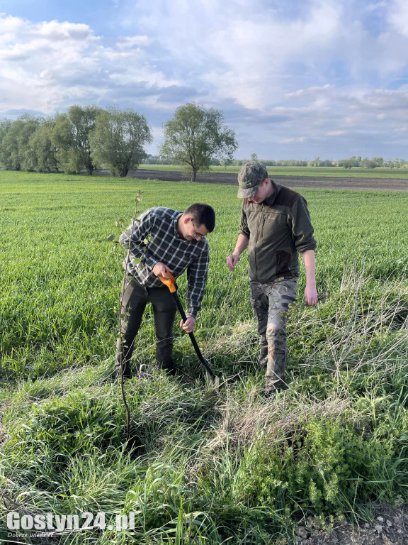 Sadzenie drzewek przez łowczych w gminie Krobia