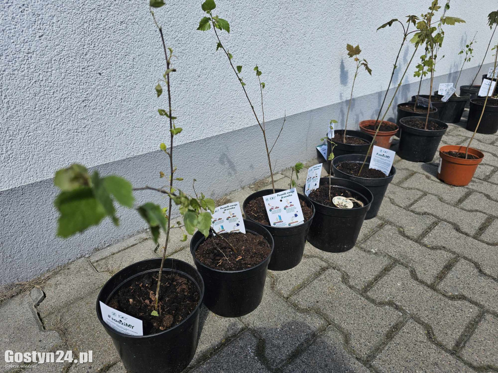 Klamoteka w GOK Hutnik w Gostyniu