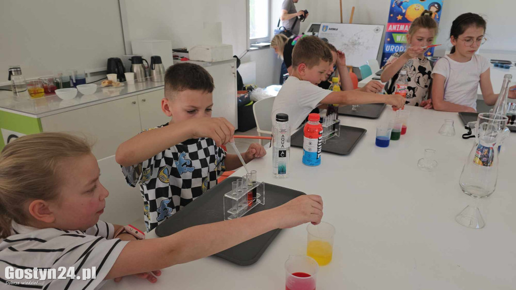 Rodzinny festyn majówkowy w Krobi