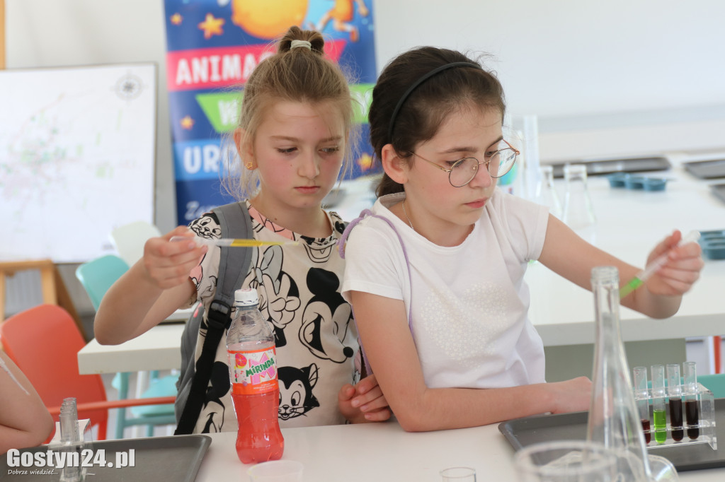 Rodzinny festyn majówkowy w Krobi