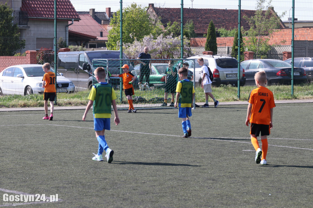 Rodzinny festyn majówkowy w Krobi