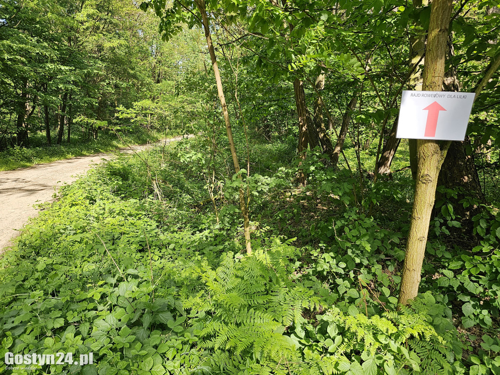 Rajd rowerowy dla Lilki z Bodzewa