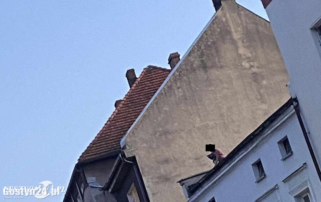 Mężczyzna stał na dachu kamienicy w Lesznie i...