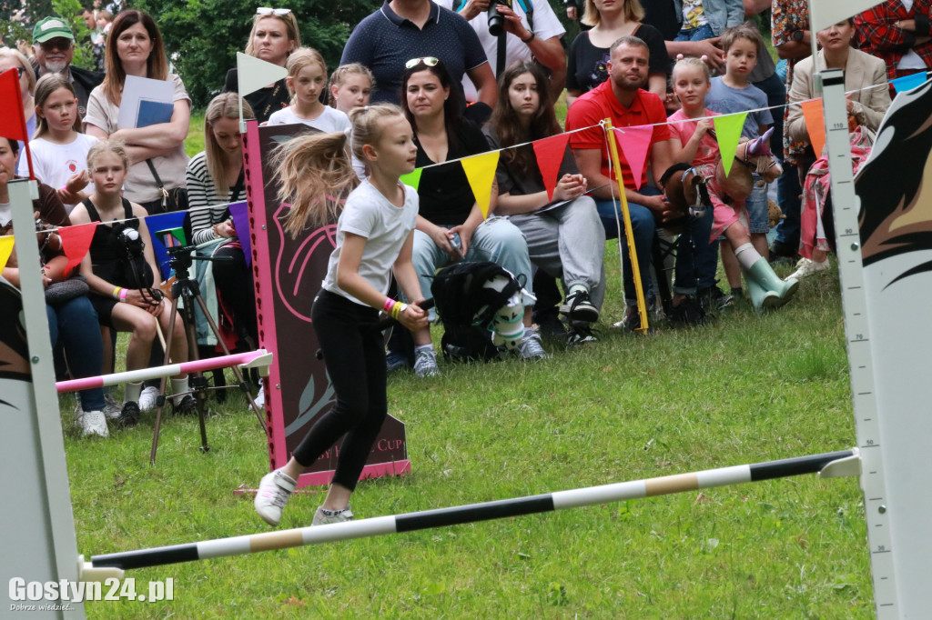 Konkurs skoków przez przeszkody w Rokosowie