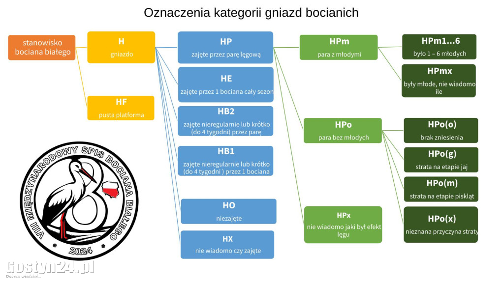 Cały Świat liczy bociany. My jednego już mamy!