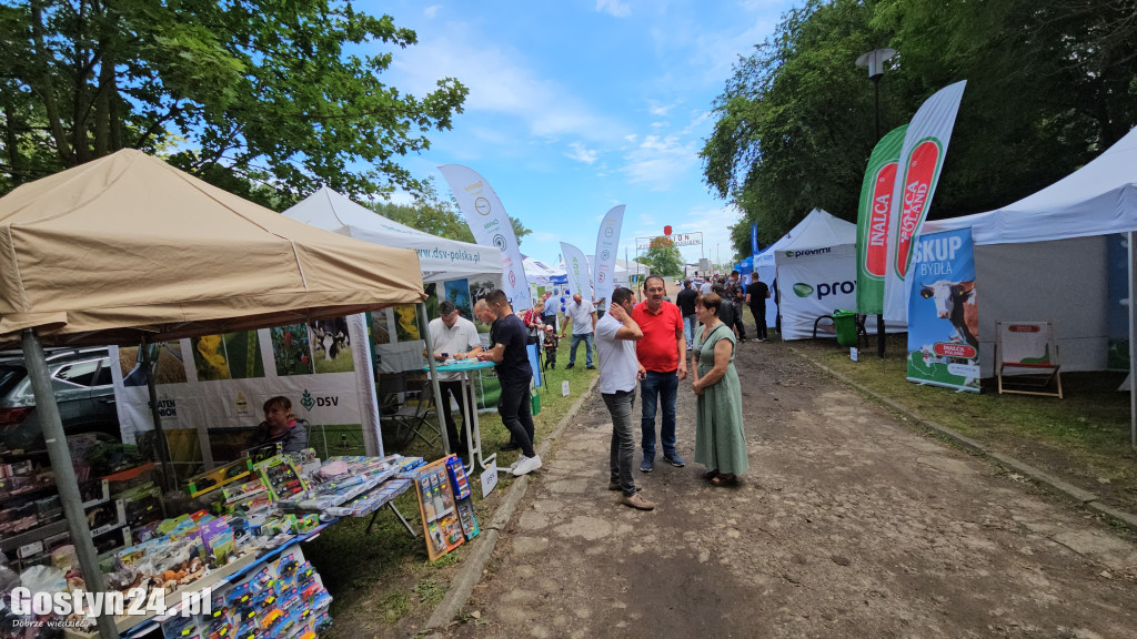 Wystawa zwierząt hodowlanych w Pudliszkach