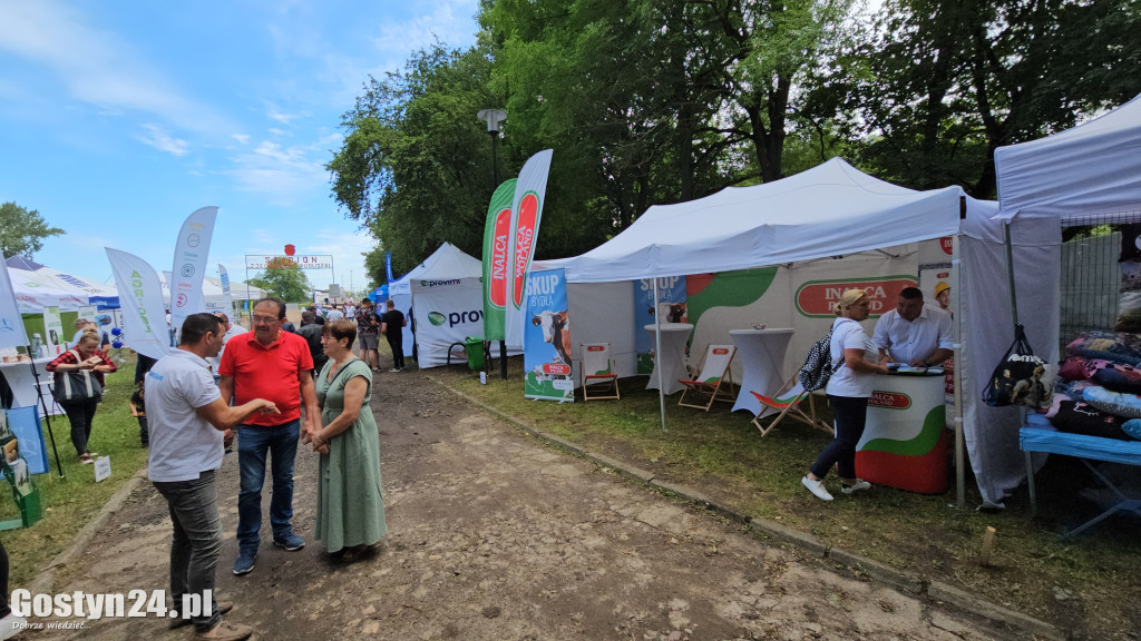 Wystawa zwierząt hodowlanych w Pudliszkach