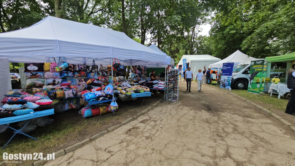 Wystawa zwierząt hodowlanych w Pudliszkach