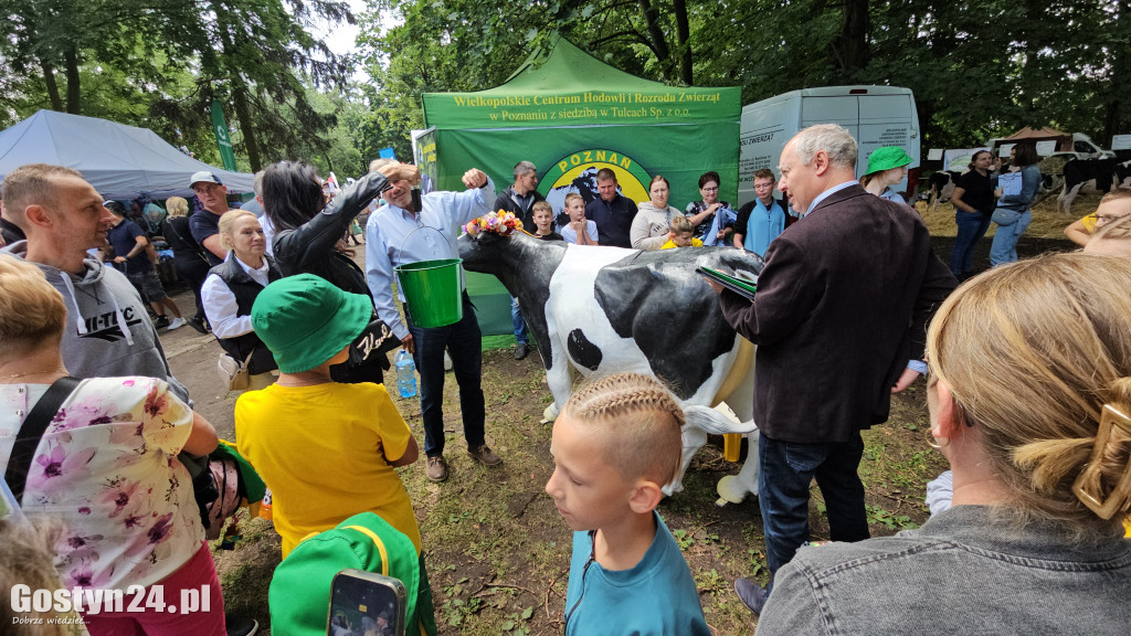 Wystawa zwierząt hodowlanych w Pudliszkach