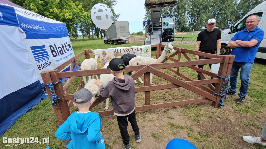 Wystawa zwierząt hodowlanych w Pudliszkach