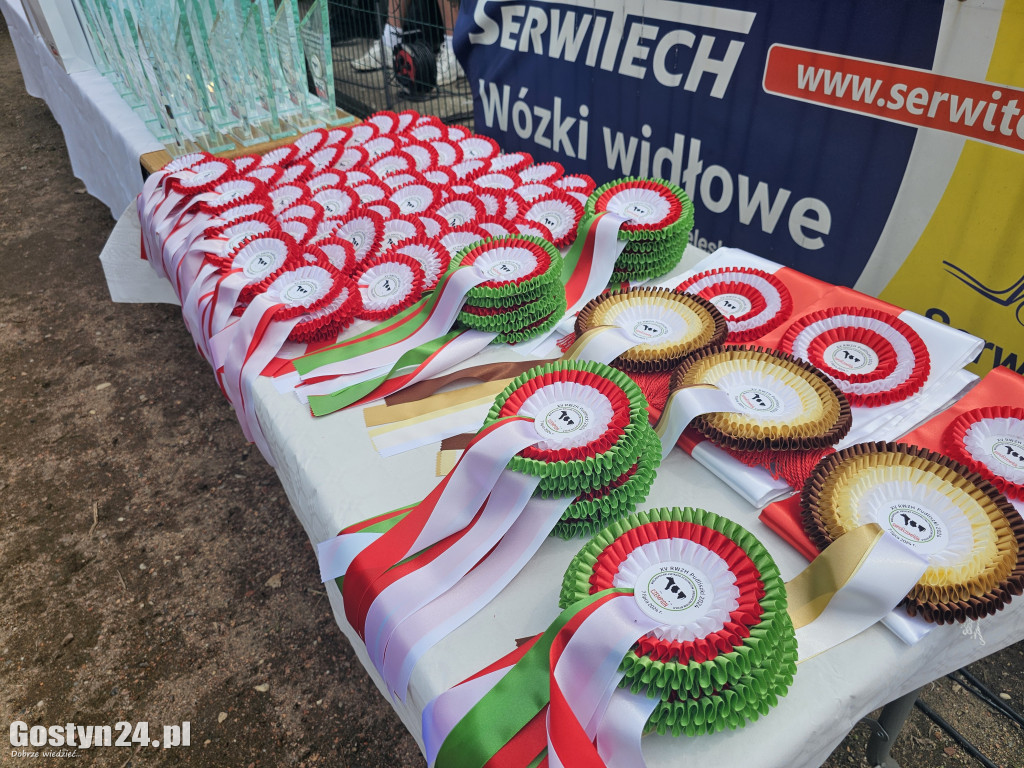 Wystawa zwierząt hodowlanych w Pudliszkach