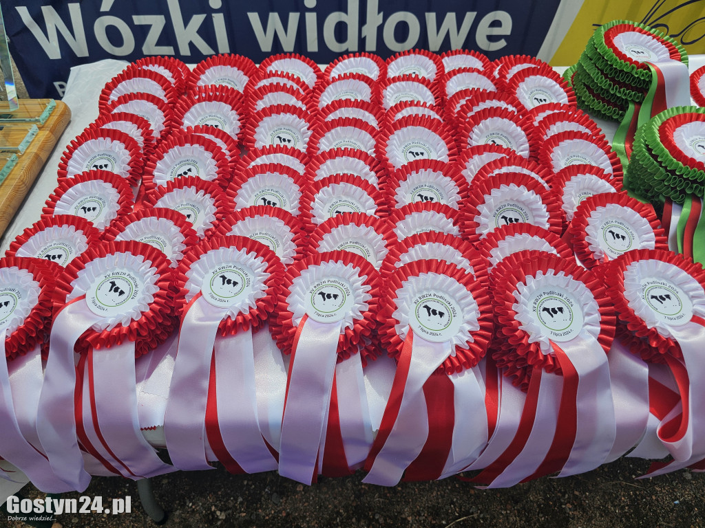 Wystawa zwierząt hodowlanych w Pudliszkach
