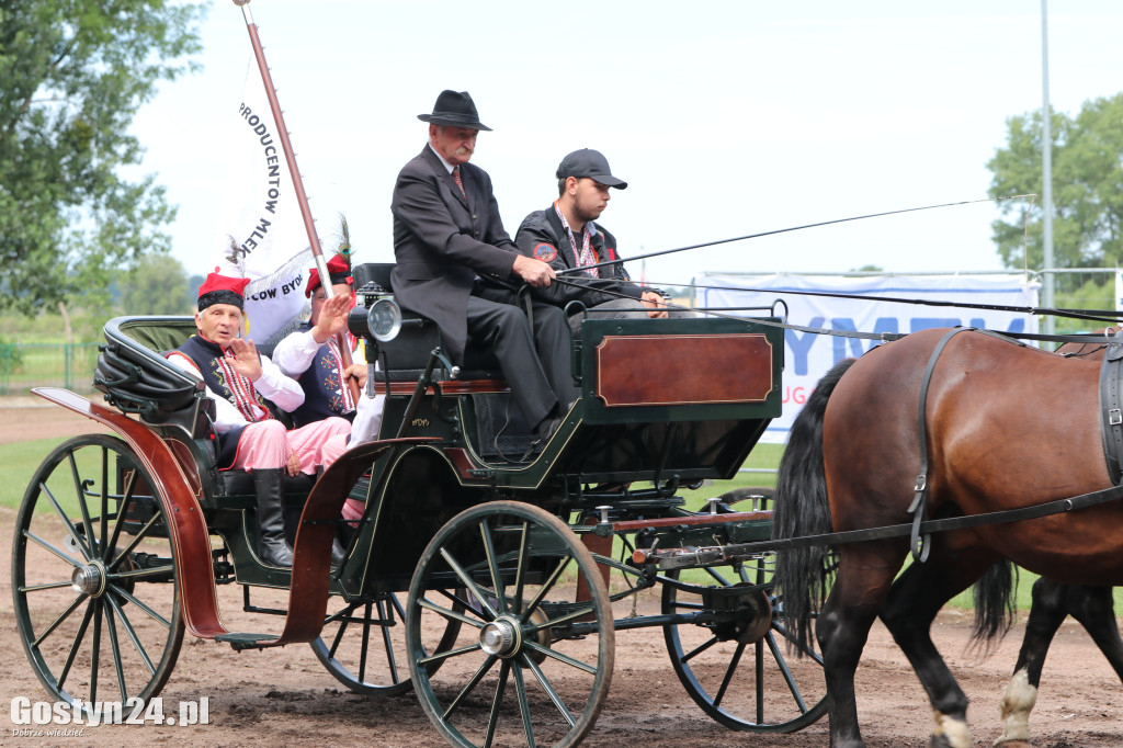 Wystawa zwierząt hodowlanych w Pudliszkach