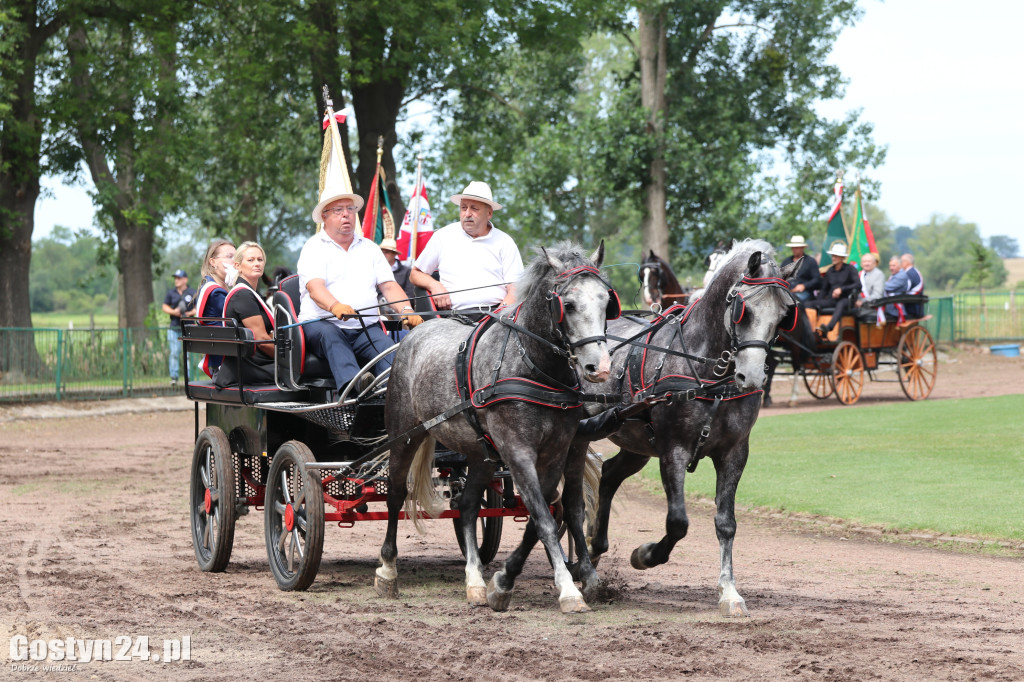 Wystawa zwierząt hodowlanych w Pudliszkach
