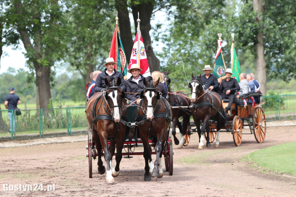 Wystawa zwierząt hodowlanych w Pudliszkach