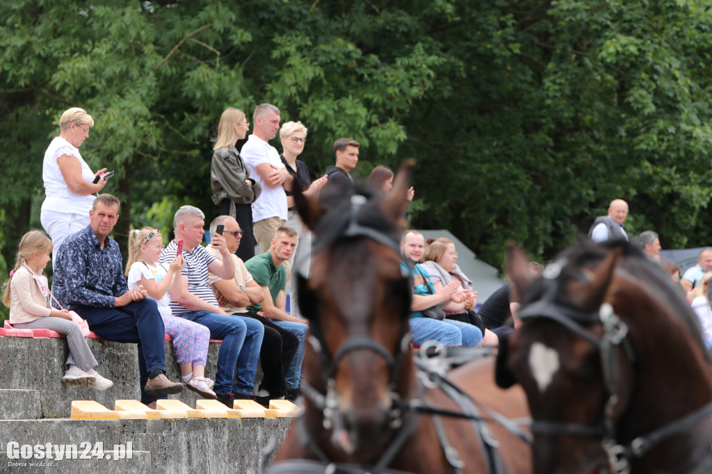 Wystawa zwierząt hodowlanych w Pudliszkach