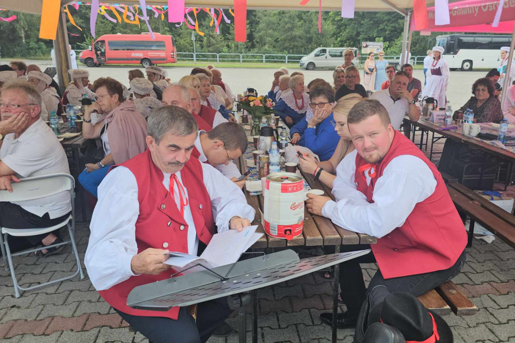 Prezentacje zespołów ludowych w Borku Wlkp.