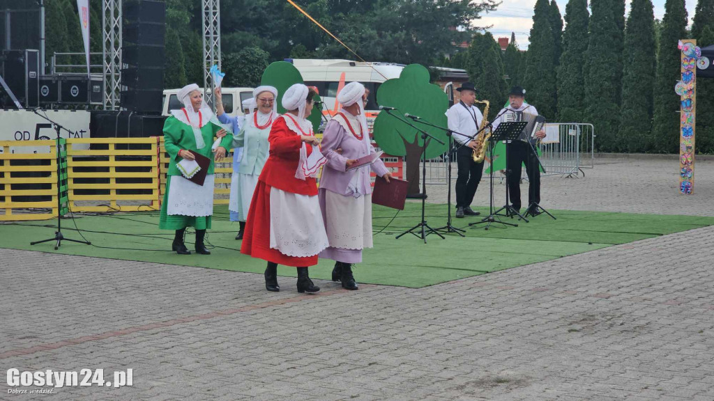 Prezentacje zespołów ludowych w Borku Wlkp.