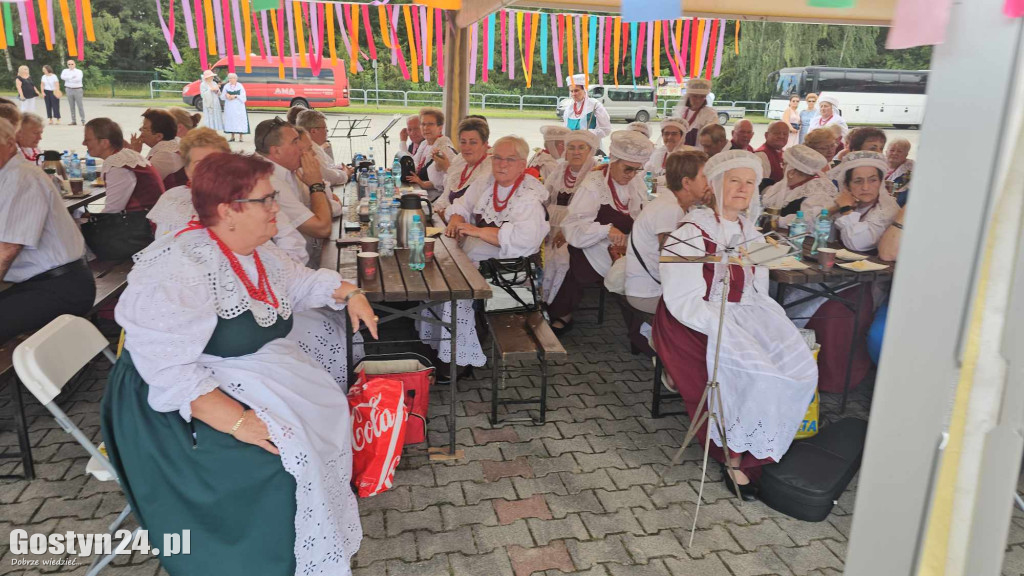 Prezentacje zespołów ludowych w Borku Wlkp.