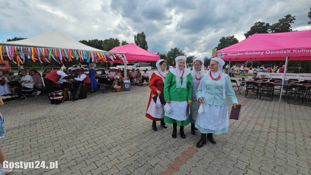 Prezentacje zespołów ludowych w Borku Wlkp.