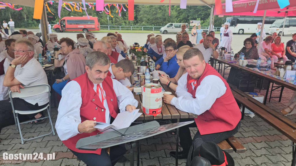 Prezentacje zespołów ludowych w Borku Wlkp.