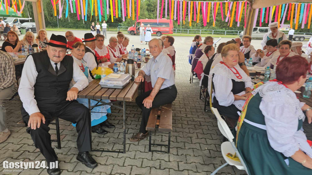 Prezentacje zespołów ludowych w Borku Wlkp.