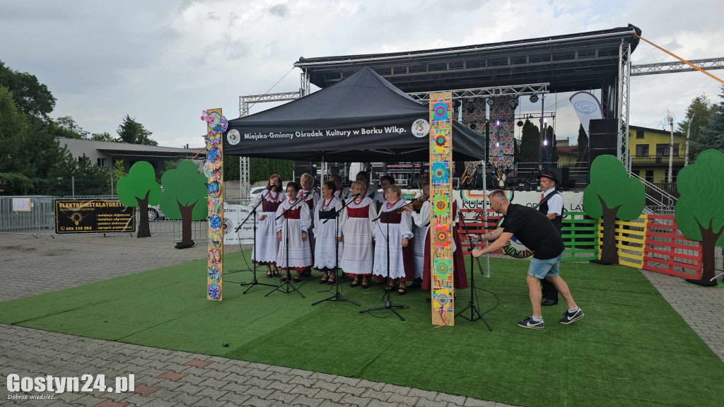 Prezentacje zespołów ludowych w Borku Wlkp.