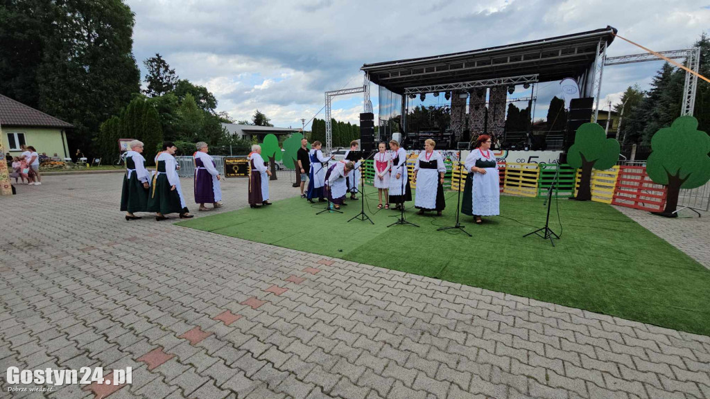 Prezentacje zespołów ludowych w Borku Wlkp.