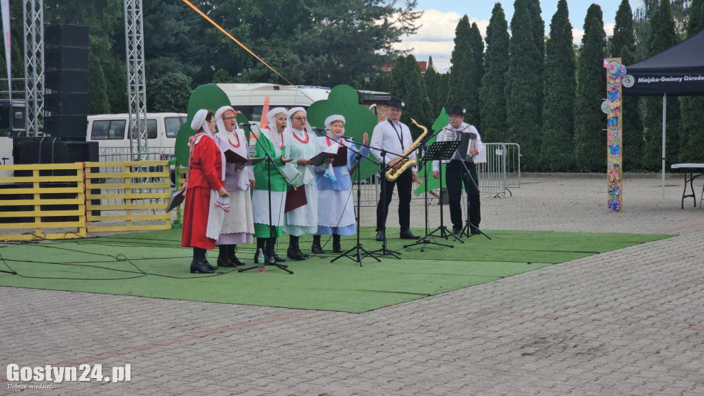 Prezentacje zespołów ludowych w Borku Wlkp.