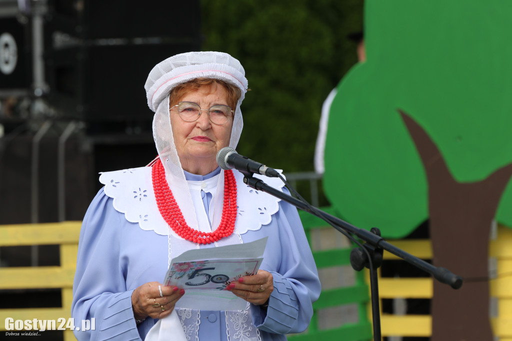 Prezentacje zespołów ludowych w Borku Wlkp.