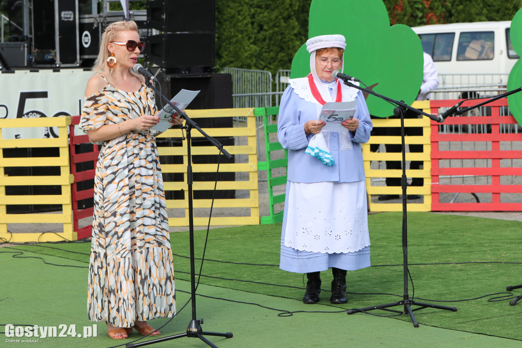 Prezentacje zespołów ludowych w Borku Wlkp.